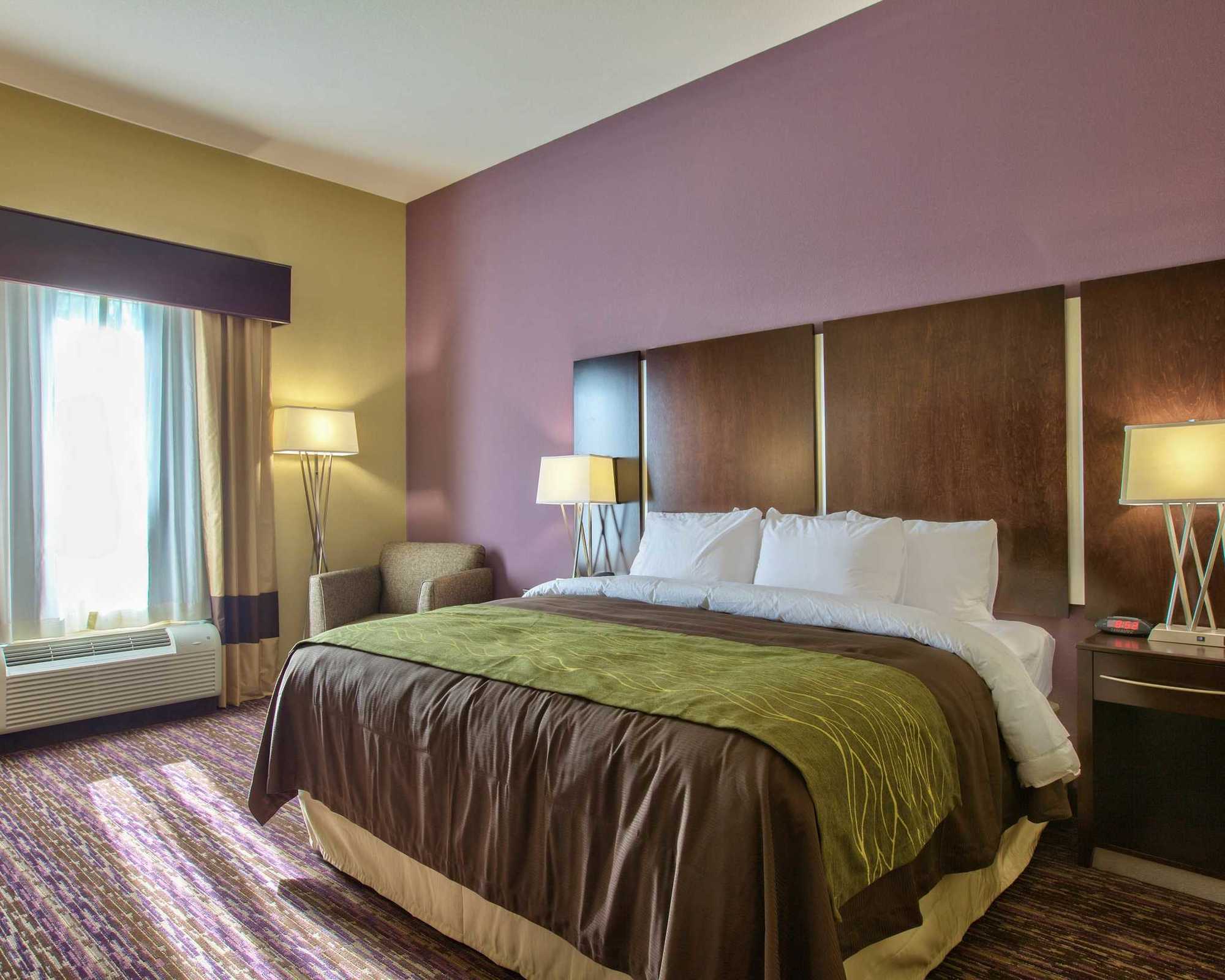 Comfort Inn & Suites Dothan East Værelse billede